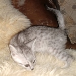 IMG_20191205_103539070