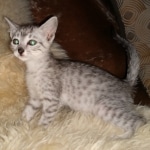 IMG_20191205_103541182