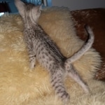 IMG_20191205_103549984