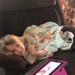 Mila May Mau silver female kitten DOB 9-8-21