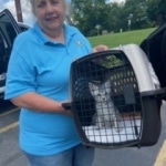 Savannah Belle Egyptian Mau DOB 3-19-22