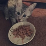 First day home