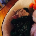 Isis asleep 2