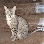 IMG_20190430_140457535