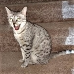 IMG_20190430_140459547