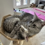 Remy and Daisy