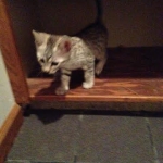 Sudi first day home