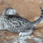 IMG_20220104_151322253