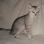 IMG_20190509_171129547