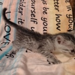 IMG_20231012_105636924