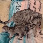 precious-and-Mau-2