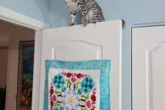 Jabar, Egyptian Mau, Silver, Male #2 DOB 9-28-19