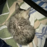 c0e6bd1c-0f0c-4ff7-8cad-ac039eefa23d