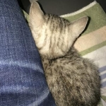 c6566f53-804c-4d54-8697-2d76fe1e3c72