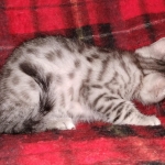 IMG_20210502_125201960