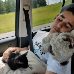 Orion, Mau, Smoke, Male w/locket DOB 3-20-17