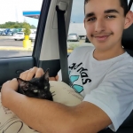 Orion, Mau, Smoke, Male w/locket DOB 3-20-17