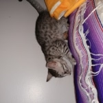 IMG_20190523_153937030