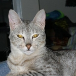 178b5310-c897-415e-9950-9a944bd7e2ef