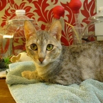 Eowyn , First birthday a