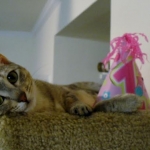 Eowyn , First birthday
