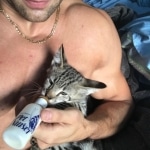 Zuri, Savannah, F-2B, Brown Spotted Male DOB 3-26-18