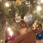 Nala Christmas 2015