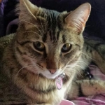 Nale Close up 5-15.jpg