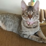 download_20140816_195019