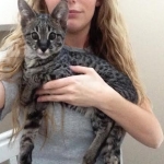 Kato at 3 months old