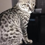 Kato at 3 months