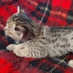 IMG_20211203_110159922