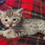 IMG_20211203_110204711