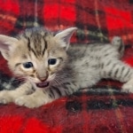 IMG_20211203_110208709