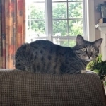 Armani-5-yrs-old