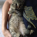 Armani at 11 weeks