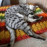 Nola-Resting-at-Grandmas-House