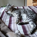 Nola-at-Grandmas-House