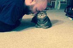 Sherman Dark silver-bronze Egyptian Mau male #1 dob 1-9-14