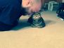 Sherman Dark silver-bronze Egyptian Mau male #1 dob 1-9-14