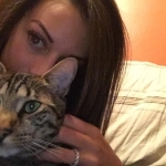 Sherman, Bronze Egyptian Mau male, DOB 1/9/14