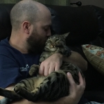 Sherman, Bronze Egyptian Mau male, DOB 1/9/14