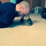Sherman, Bronze Egyptian Mau male, DOB 1/9/14