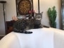 Harley - Egyptian Mau Cool Bronze male dob 1-9-14