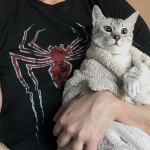 Maisy, Mau, Silver, Female, DOB 4-30-18