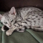 15174433_1740860846240340_1863935422_n