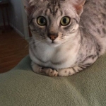 17392713_1819268945066196_1540586133_n