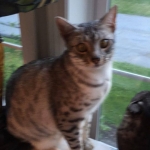 19073739_1867074643618959_1792025625_n