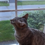 19075137_1867074703618953_494155250_n (1)