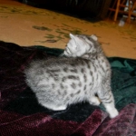 DSCN8222-800